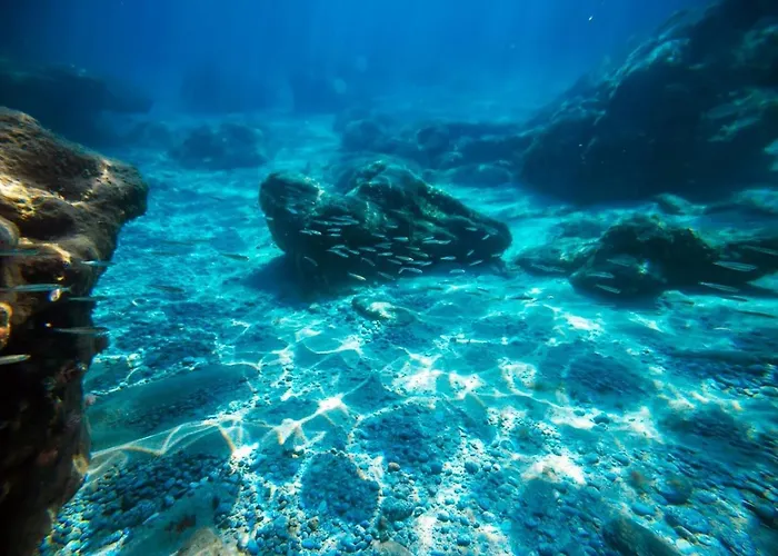 Torre * קאפו ואטיצ'אנו